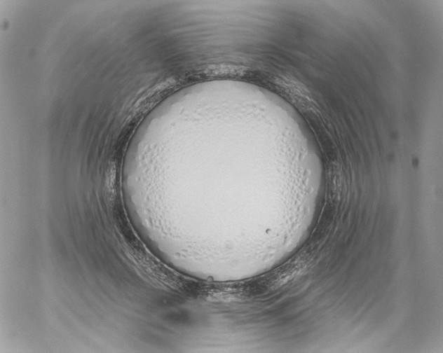 X0000061720550200512302122