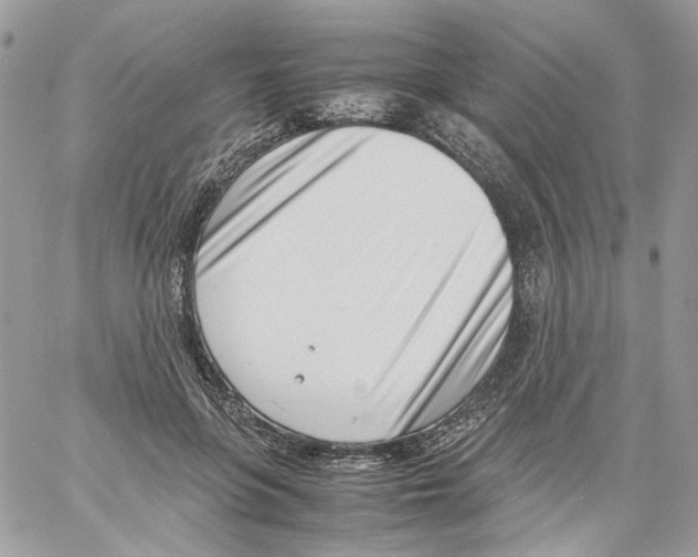 X0000061720551200512302122