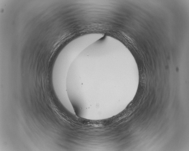 X0000061720552200512302122