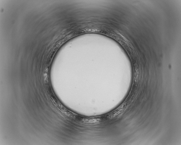 X0000061720553200512302122