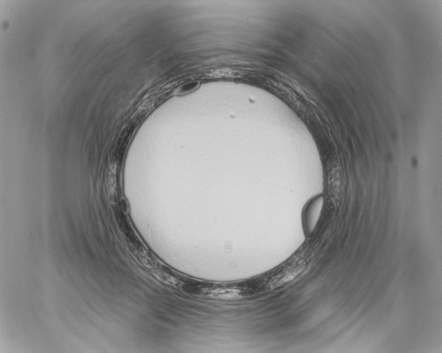 X0000061720554200512302122