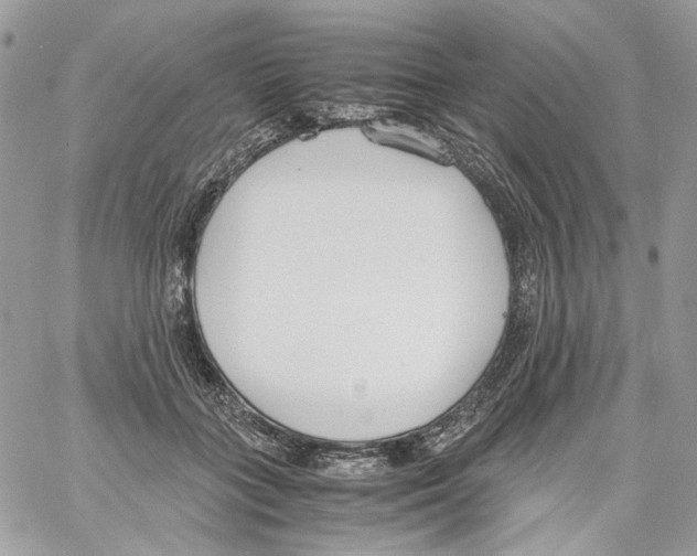 X0000061720555200512302122