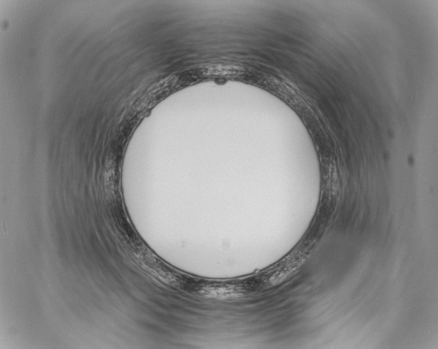 X0000061720557200512302123