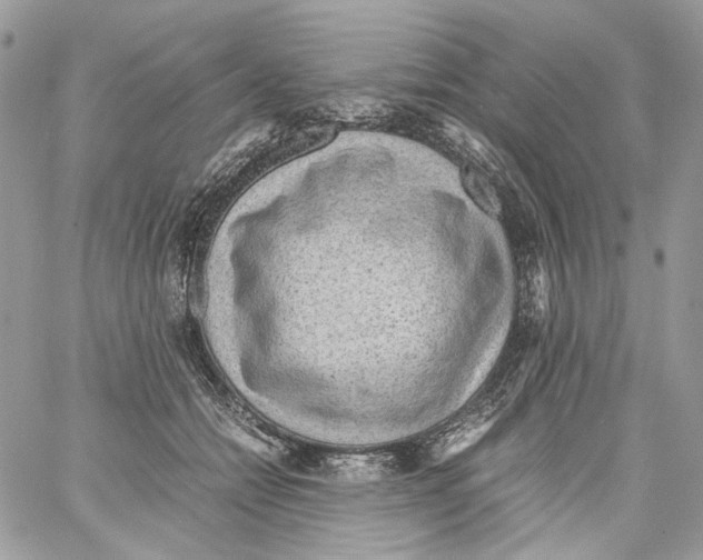 X0000061720558200512302123