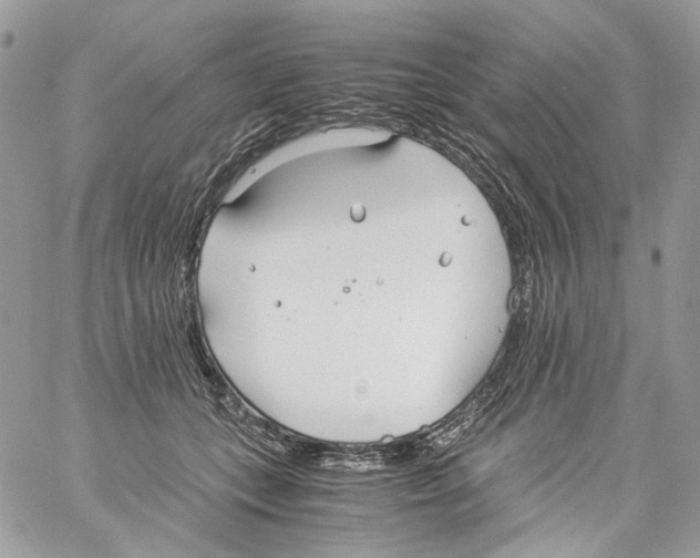 X0000061720559200512302123