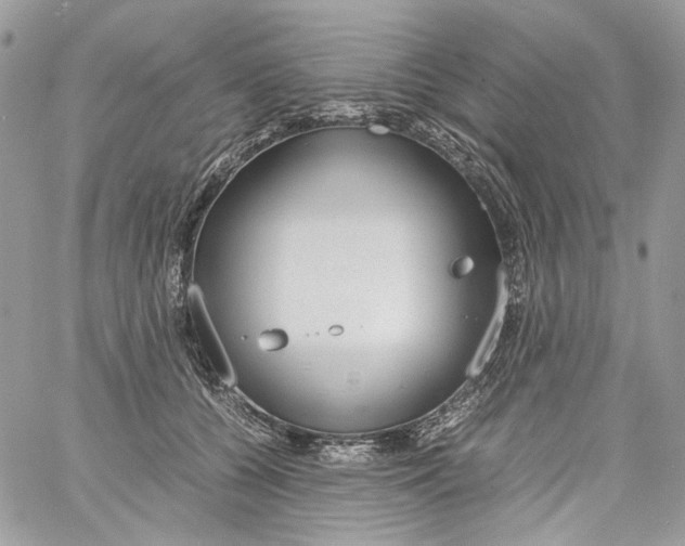 X0000061720560200512302123