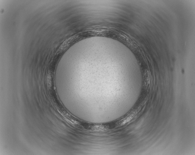 X0000061720562200512302123