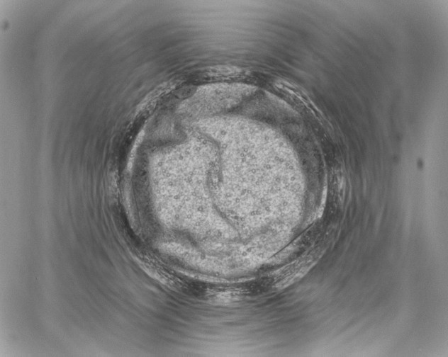 X0000061720564200512302123