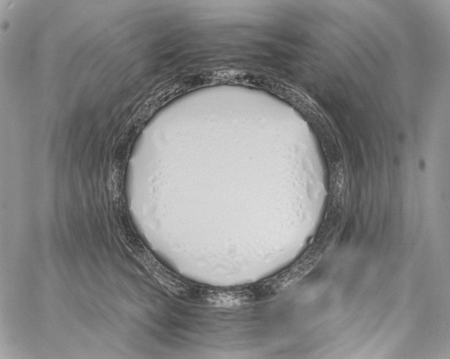 X0000061720565200512302123