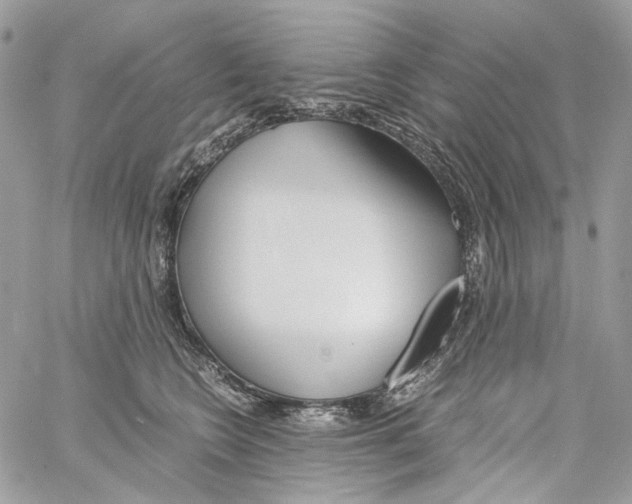 X0000061720566200512302123