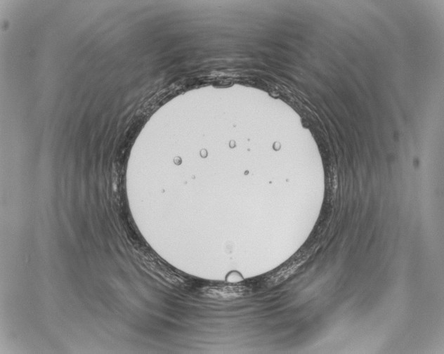 X0000061720567200512302123