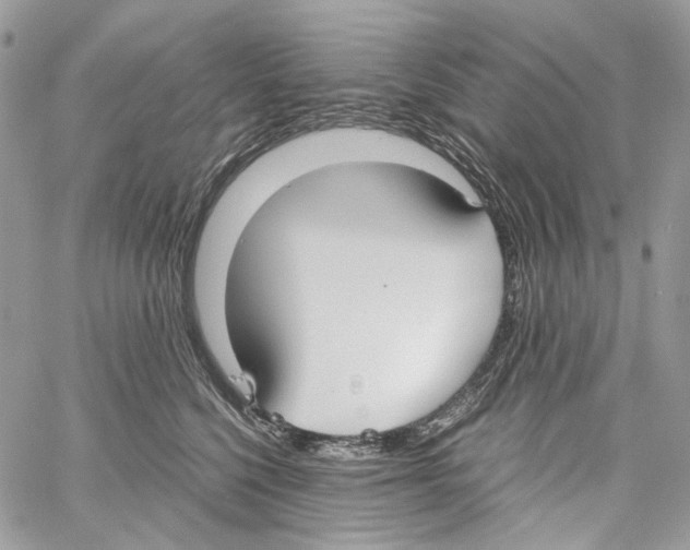 X0000061720568200512302123