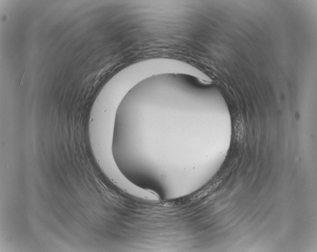 X0000061720570200512302123