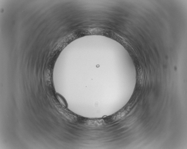 X0000061720571200512302123