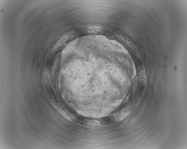 X0000061720572200512302123