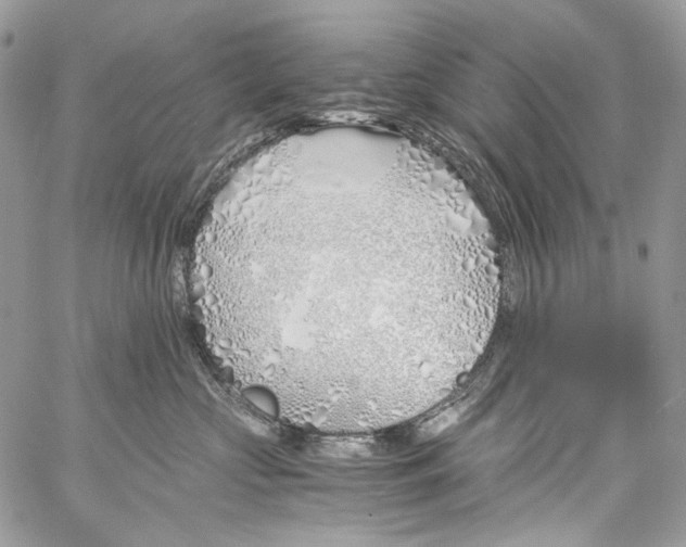 X0000061720573200512302123