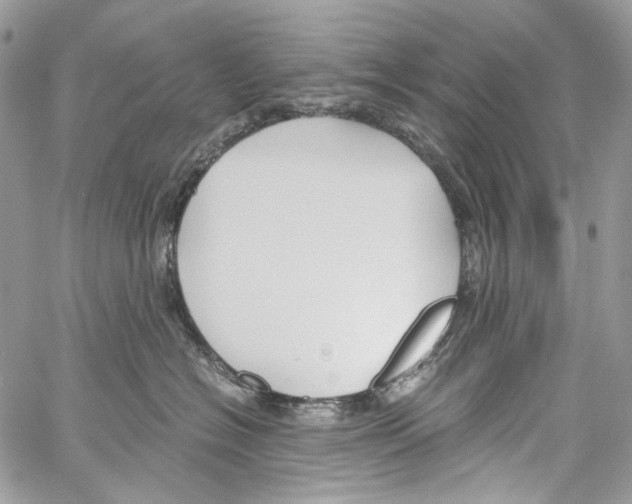 X0000061720574200512302123