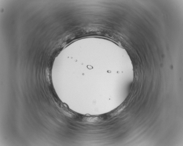 X0000061720575200512302123