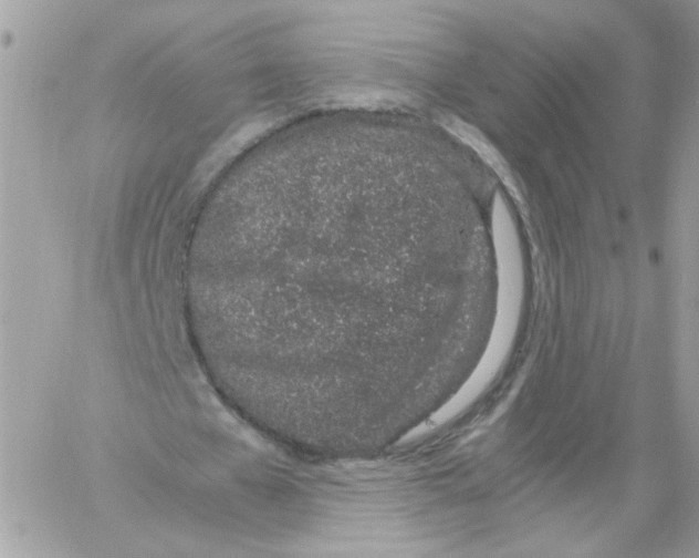 X0000061720577200512302122