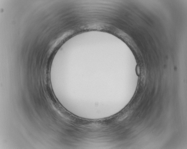 X0000061720578200512302122