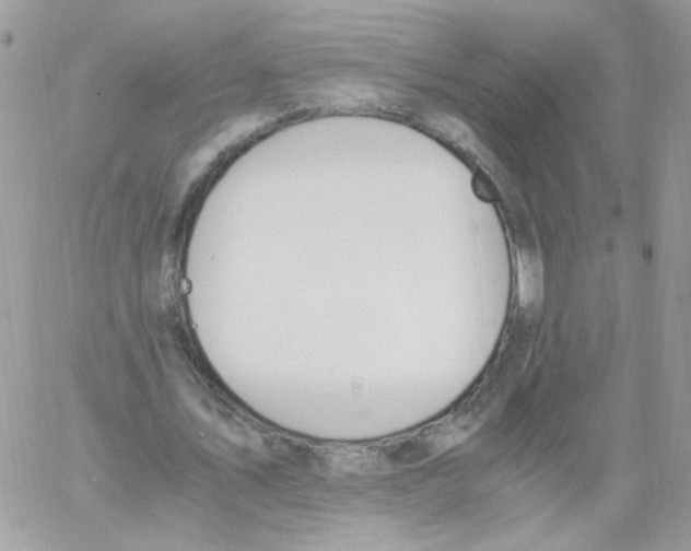 X0000061720579200512302122