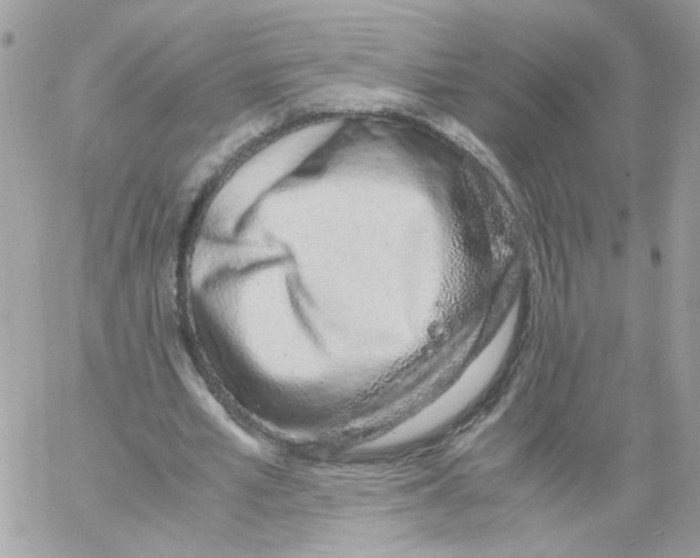 X0000061720581200512302122