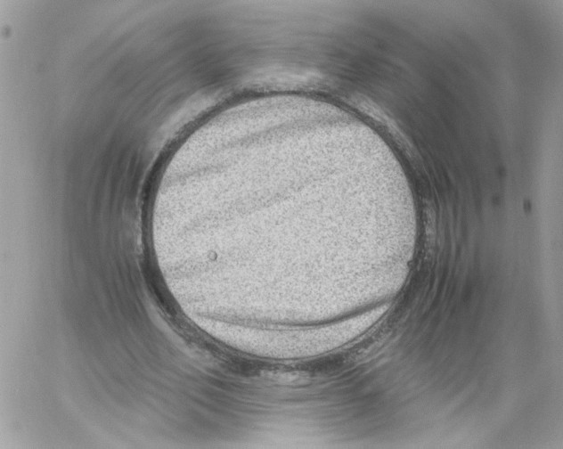 X0000061720582200512302122