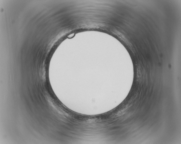 X0000061720584200512302122