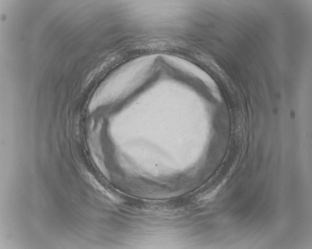 X0000061720585200512302122