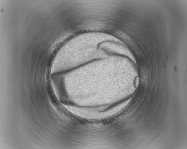 X0000061720586200512302122