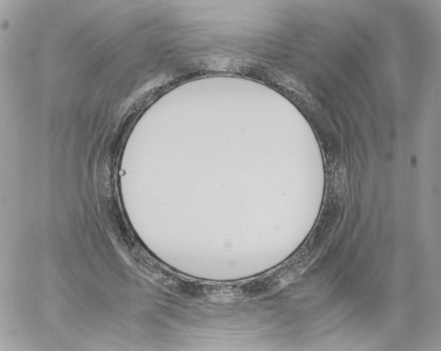 X0000061720587200512302122