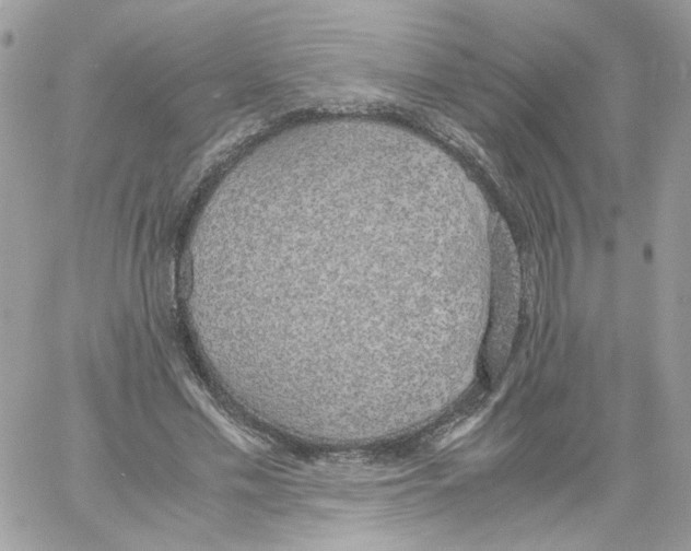 X0000061720589200512302122