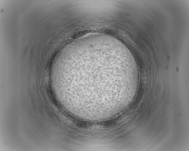 X0000061720593200512302122