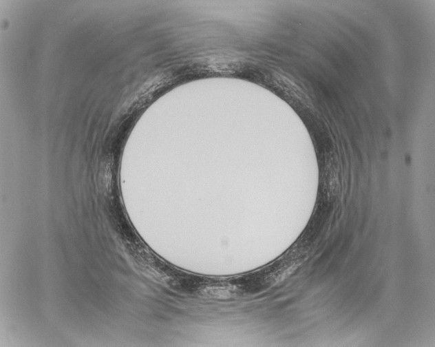 X0000061720595200512302122