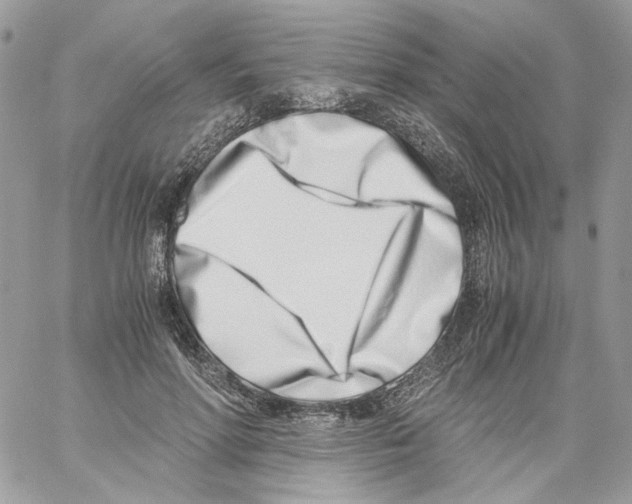 X0000061720598200512302122