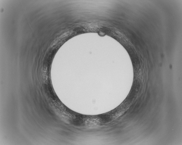 X0000061720599200512302122