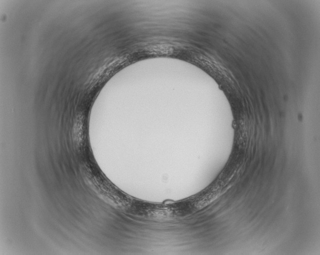 X0000061720600200512302122