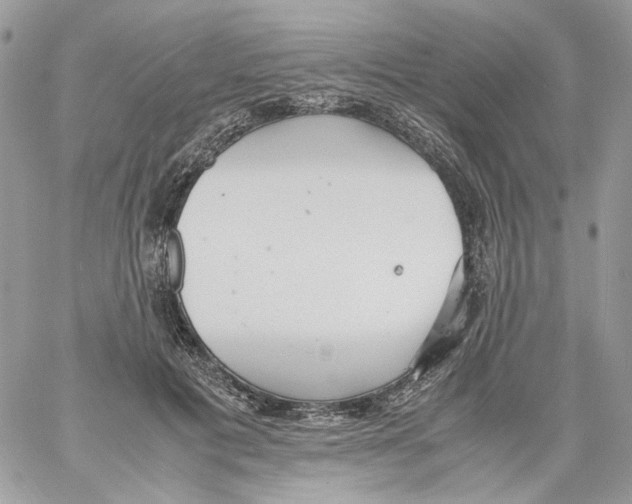 X0000061720601200512302122