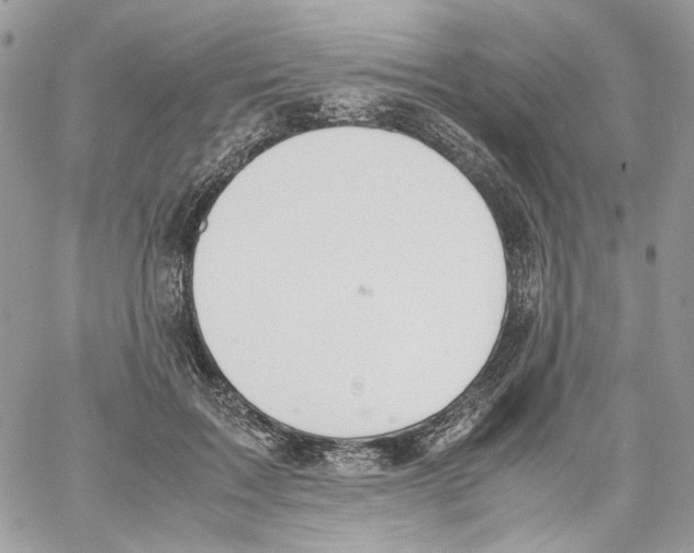 X0000061720603200512302122