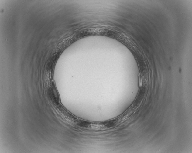 X0000061720605200512302122