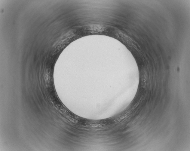 X0000061720608200512302121