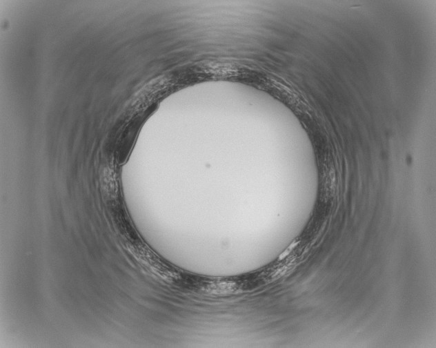 X0000061720609200512302121