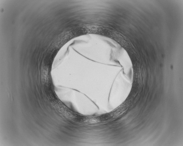 X0000061720610200512302121