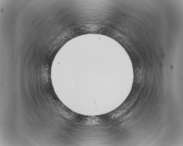 X0000061720612200512302121