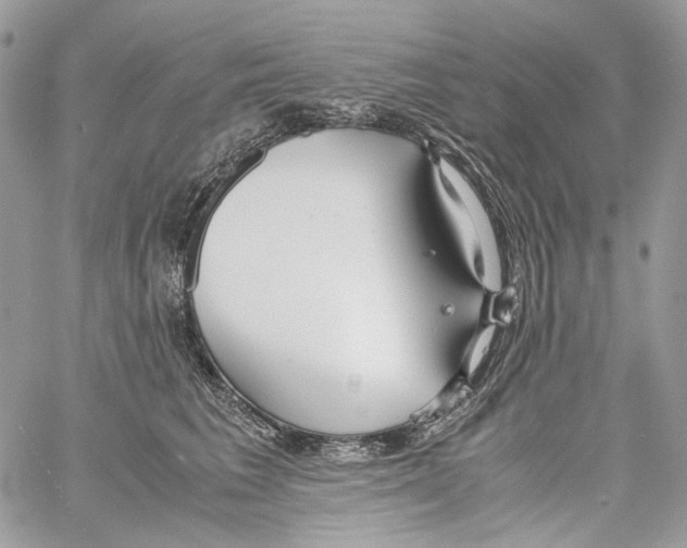 X0000061720613200512302121