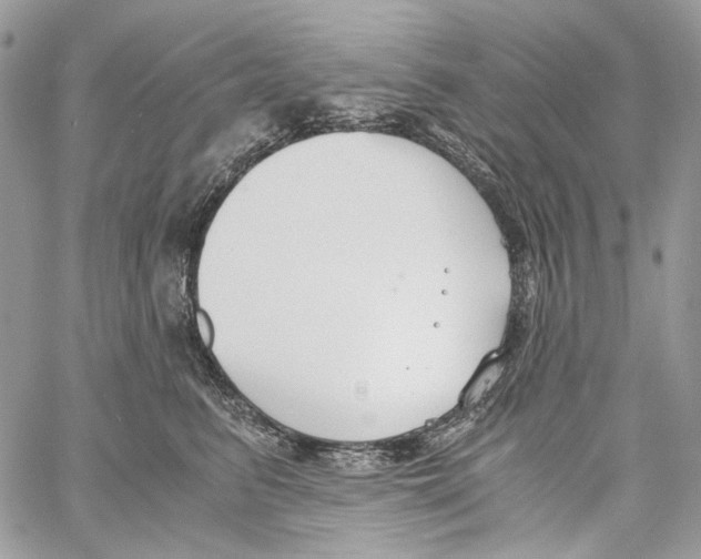 X0000061720615200512302121