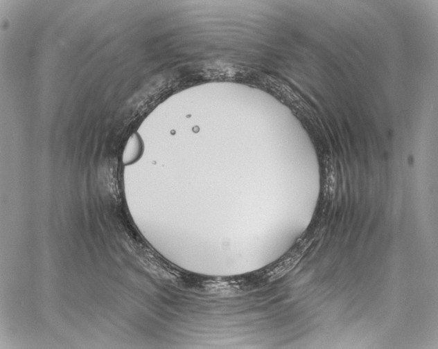 X0000061720616200512302121