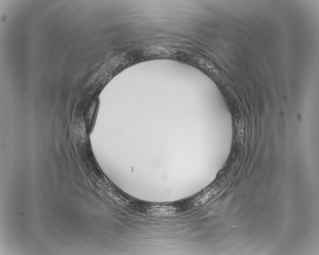 X0000061720617200512302121