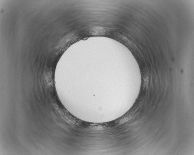 X0000061720620200512302121