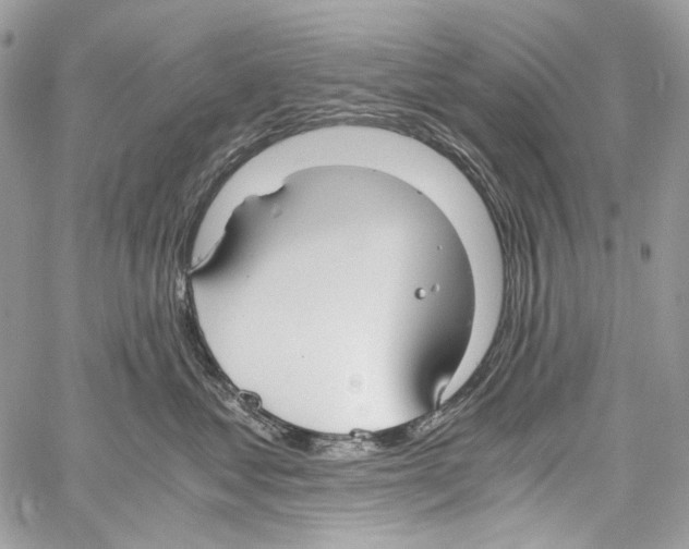 X0000061720621200512302121